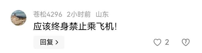 摊上大事了！东航一飞机安全出口被乘客打开已被警方带走(图3)