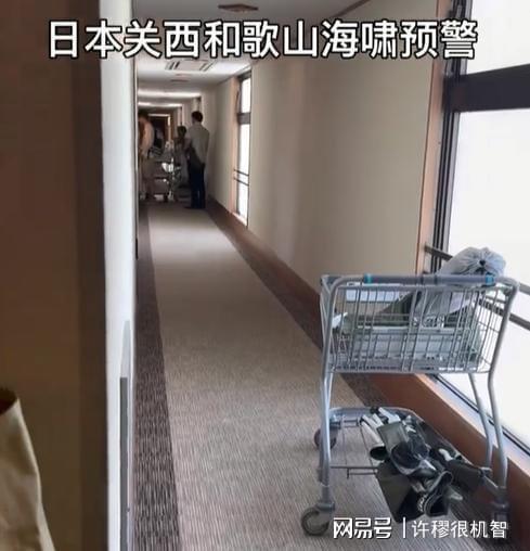 浙江女子日本旅游撞上海啸预警酒店安排紧急避难全市警戒(图9)