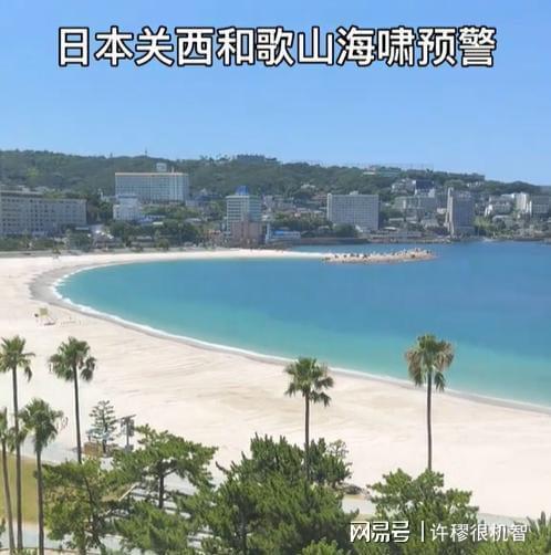 浙江女子日本旅游撞上海啸预警酒店安排紧急避难全市警戒(图3)