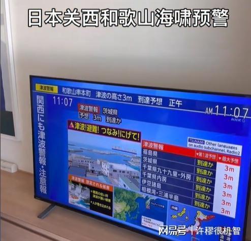 浙江女子日本旅游撞上海啸预警酒店安排紧急避难全市警戒(图6)