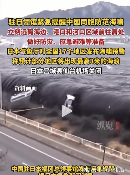 浙江女子日本旅游撞上海啸预警酒店安排紧急避难全市警戒(图13)