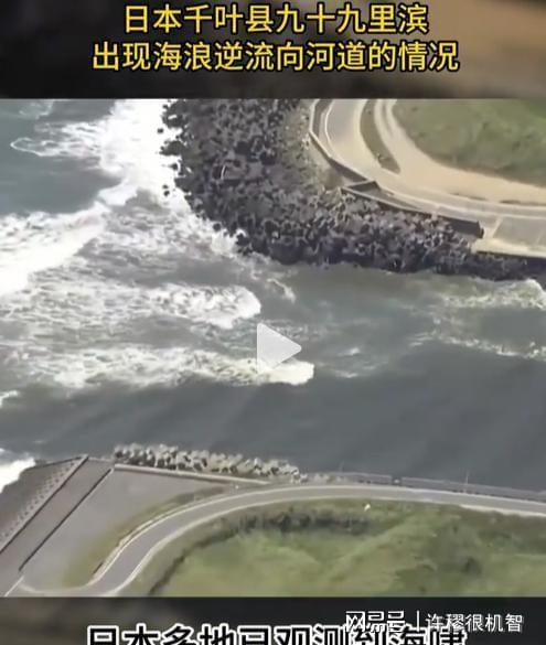 浙江女子日本旅游撞上海啸预警酒店安排紧急避难全市警戒(图22)