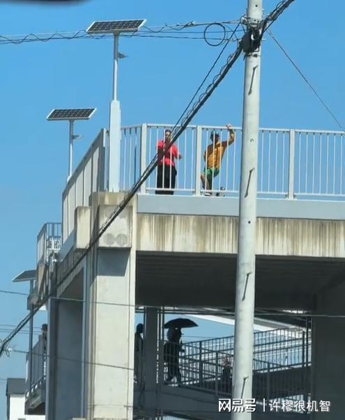浙江女子日本旅游撞上海啸预警酒店安排紧急避难全市警戒(图24)