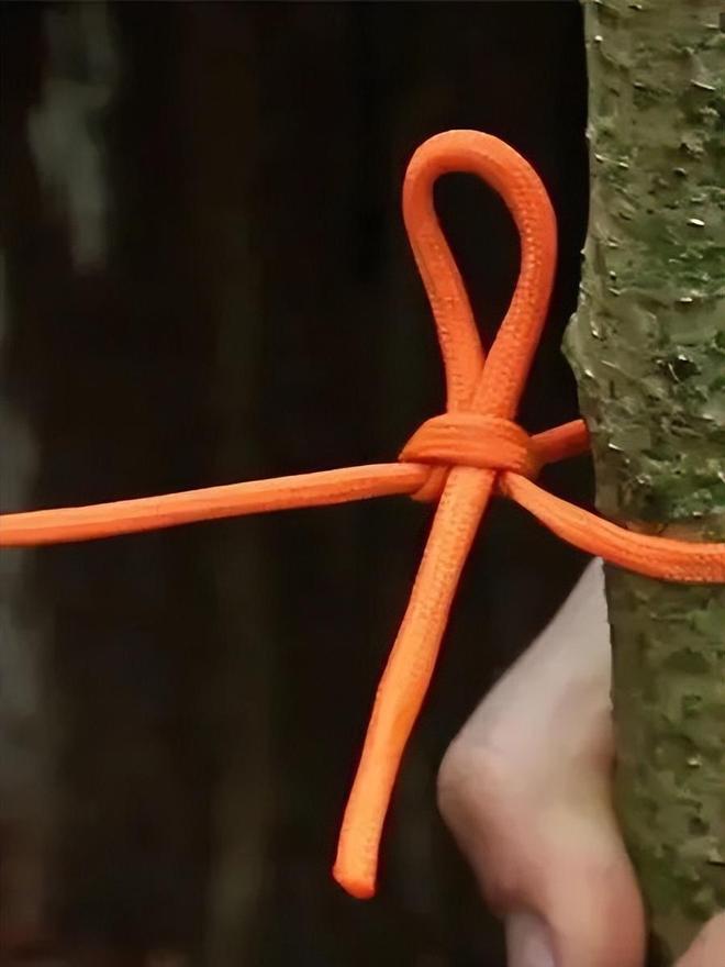 荒野求生篇一分钟Get孩子必备的野外生存技能！(图11)