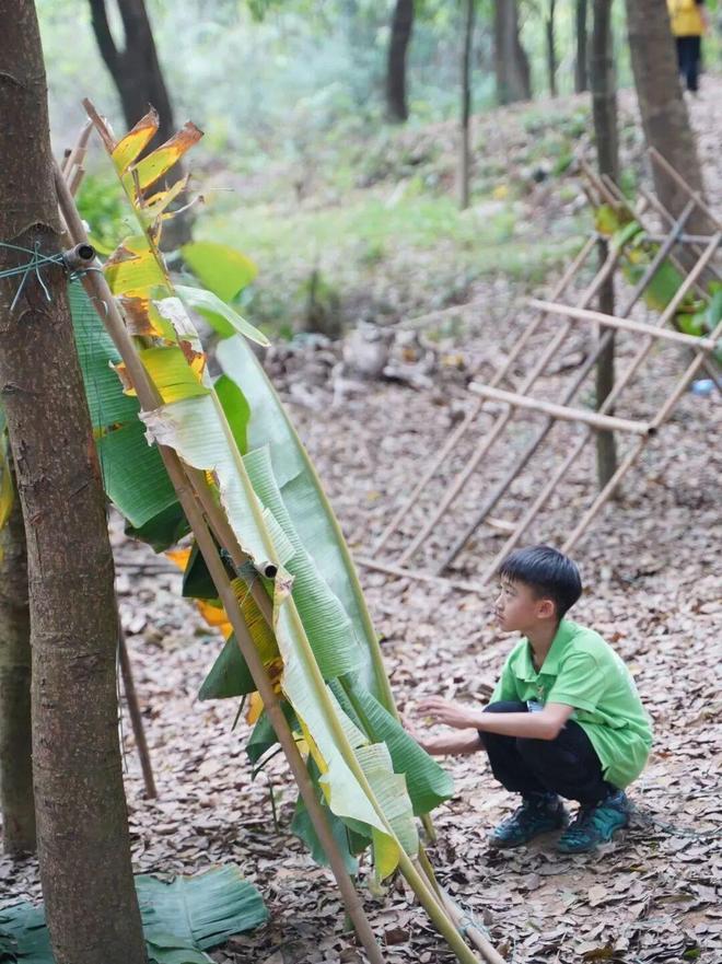 荒野求生篇一分钟Get孩子必备的野外生存技能！(图10)