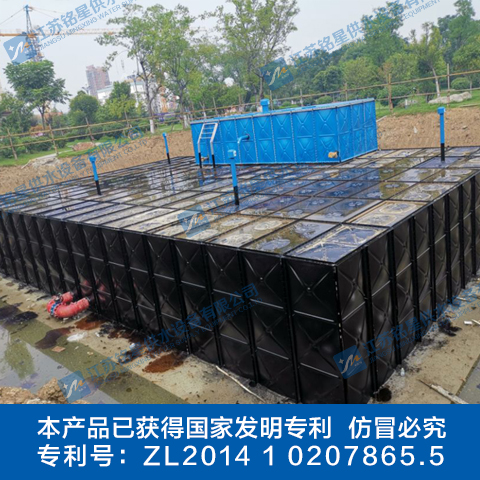 sw箱泵一体化无浮泵站(图1)